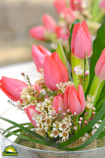 Composition de tulipes dans les jardineries Tournesols